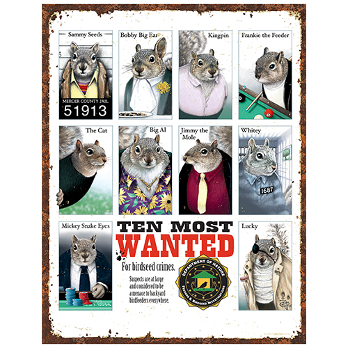 Most Wanted Squirrel