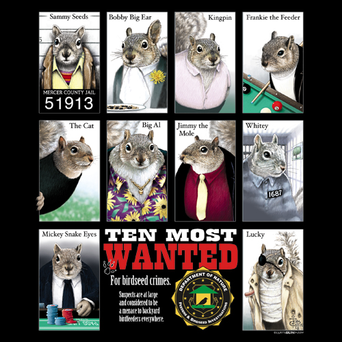 Most Wanted Squirrel