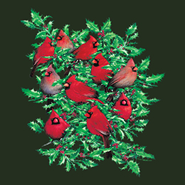 Forest Green Cardinals and Holly T-Shirt 