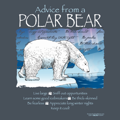 Advice from a Polar Bear