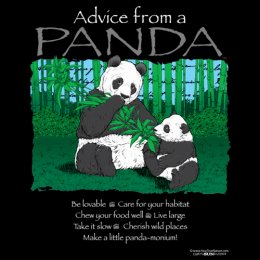 Black Advice from a Panda T-Shirt 