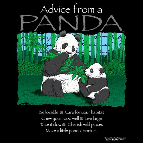 Advice from a Panda