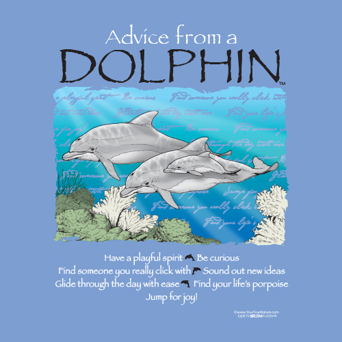 Advice from a Dolphin