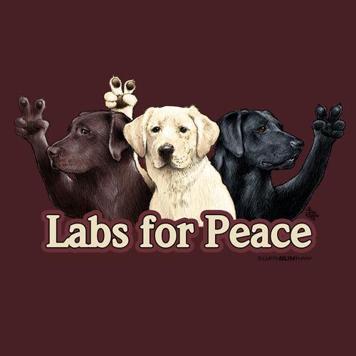 Labs for Peace