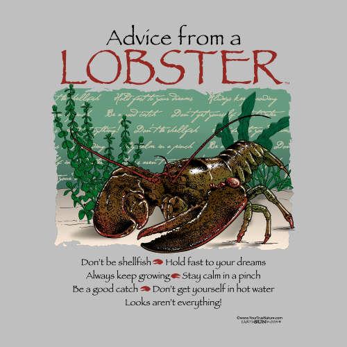 Advice from a Lobster