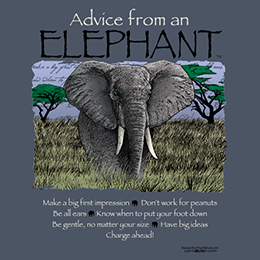 Steel Blue Advice from an Elephant T-Shirt 