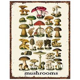 NA Vintage Mushrooms Tin Sign 