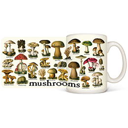 White Vintage Mushrooms Mugs 