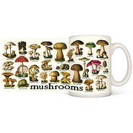 White Vintage Mushrooms Coffee Mugs 