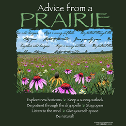 Forest Green Advice from a Prairie T-Shirt 