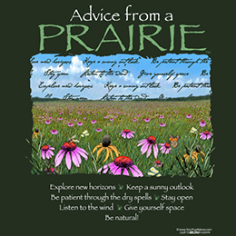 Forest Green Advice Prairie T-Shirt 