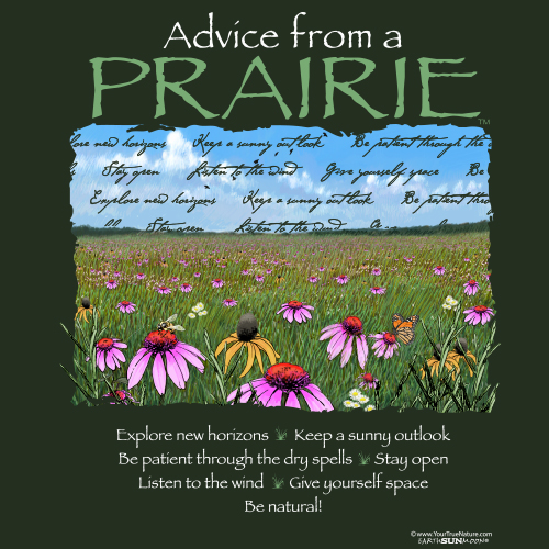 Advice from a Prairie