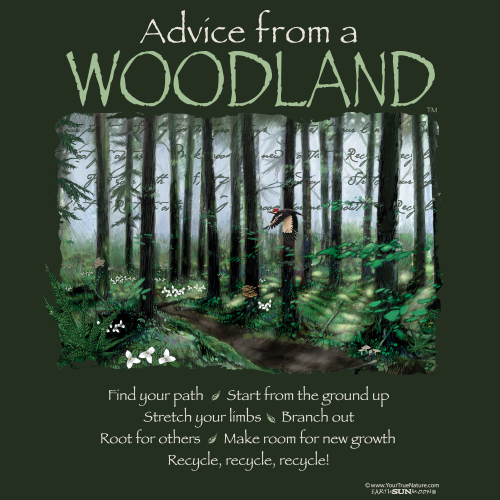 Advice from a Woodland