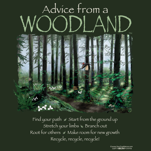 Advice Woodland