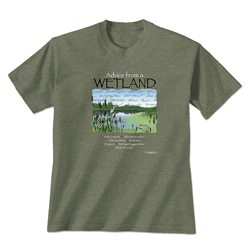 Advice from a Wetland