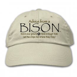 Stone Advice From A Bison Embroidered Hats 