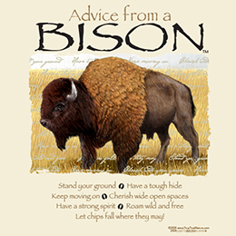 Sand Advice From A Bison T-Shirt 
