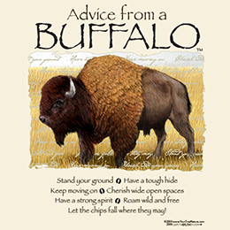 Sand Advice From A Buffalo T-Shirt 