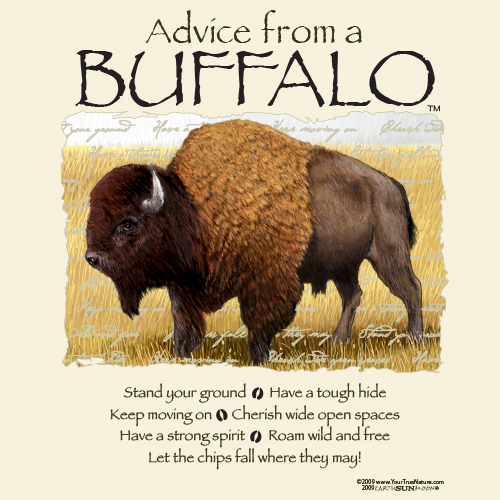 Advice From A Buffalo