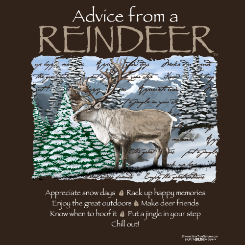 Advice Reindeer