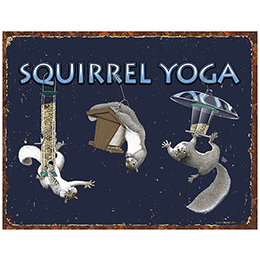 NA Squirrel Yoga Tin Sign 