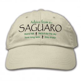 Stone Advice from a Saguaro Embroidered Hats 