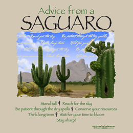 Sand Advice from a Saguaro T-Shirt 