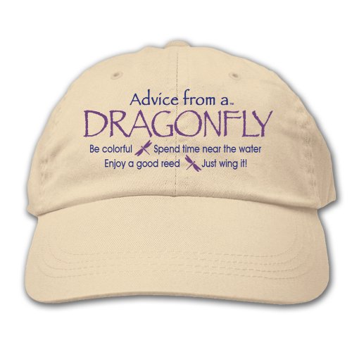 Advice from a Dragonfly