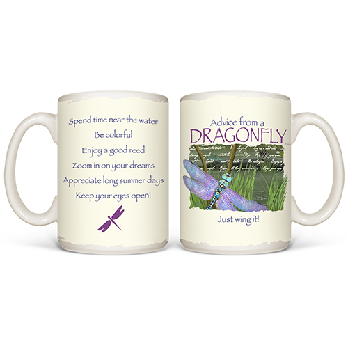 Advice from a Dragonfly
