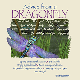 Natural Advice from a Dragonfly T-Shirt 