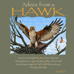 Heather Military Green Advice from a Hawk T-Shirt 