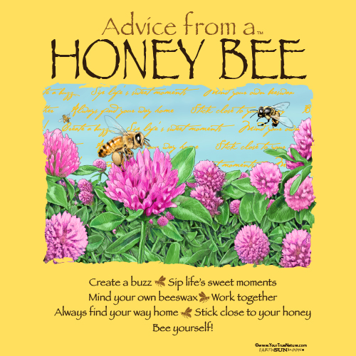 Advice Honey Bee