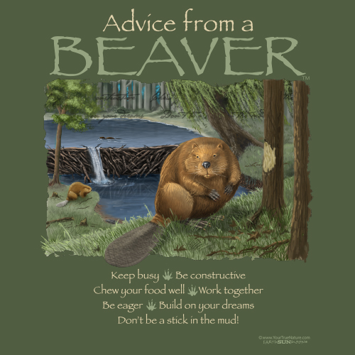 Advice from a Beaver