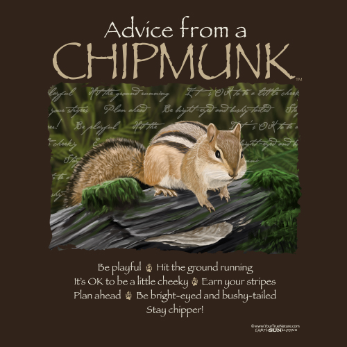 Advice from a Chipmunk