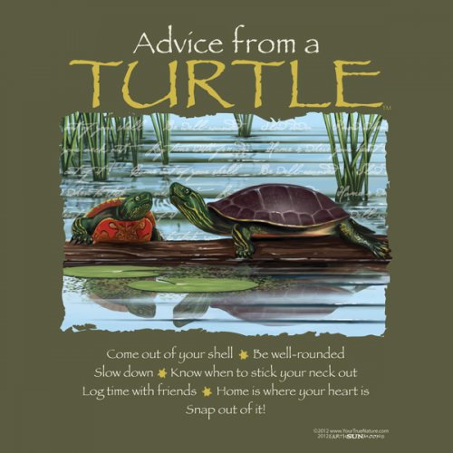 Advice from a Turtle