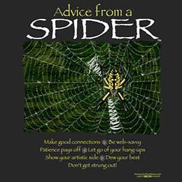 Black Advice from a Spider T-Shirt 