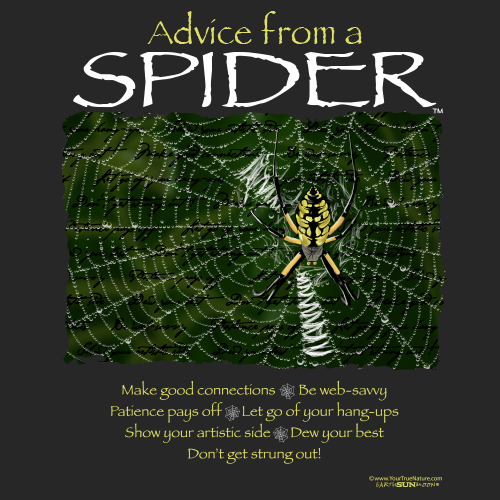 Advice from a Spider