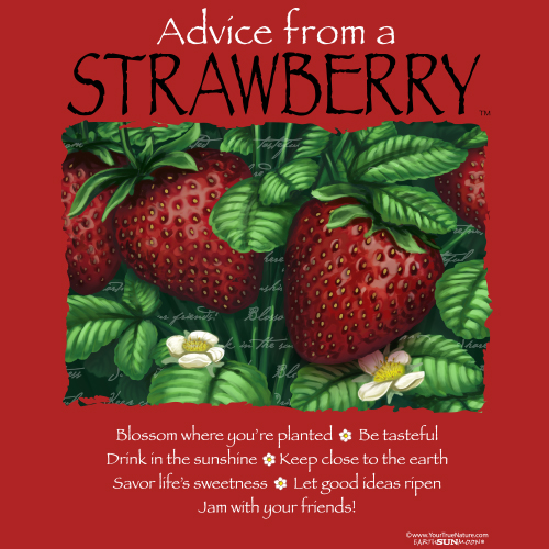 Advice from a Strawberry