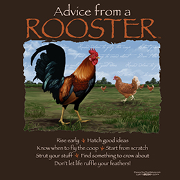 Dark Chocolate Advice Rooster T-Shirt 