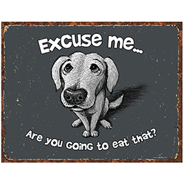 NA Excuse Me Dog Tin Sign 