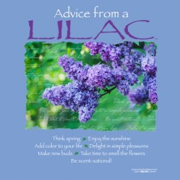 Carolina Blue Advice From A Lilac T-Shirt 