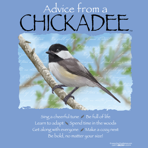 Advice from a Chickadee