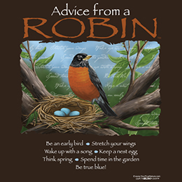 Dark Chocolate Advice from a Robin T-Shirt 