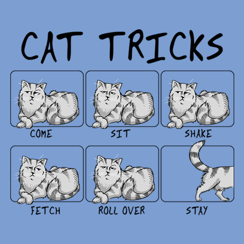 Cat Tricks