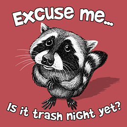 Heather Red Excuse Me Raccoon T-Shirt 