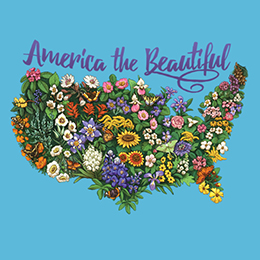 Aquatic Blue America The Beautiful T-Shirt 