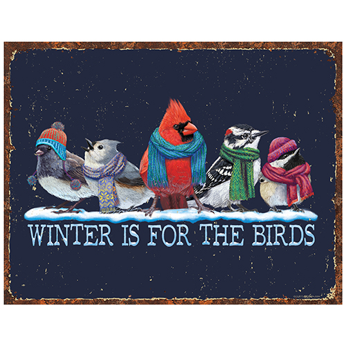 Winter Is For The Birds