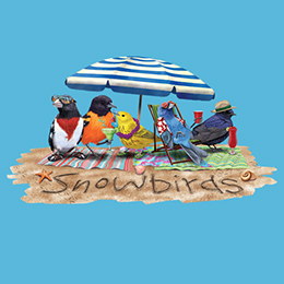 Aquatic Blue Snowbirds T-Shirt 