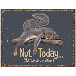 NA Nut Today Tin Sign 