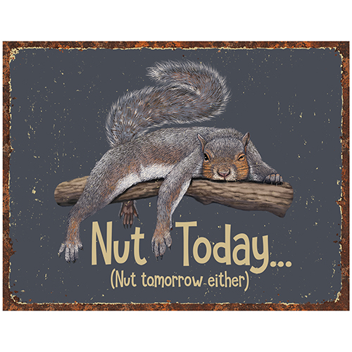 Nut Today